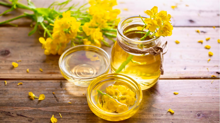 Benefits of Canola Oil for Hair