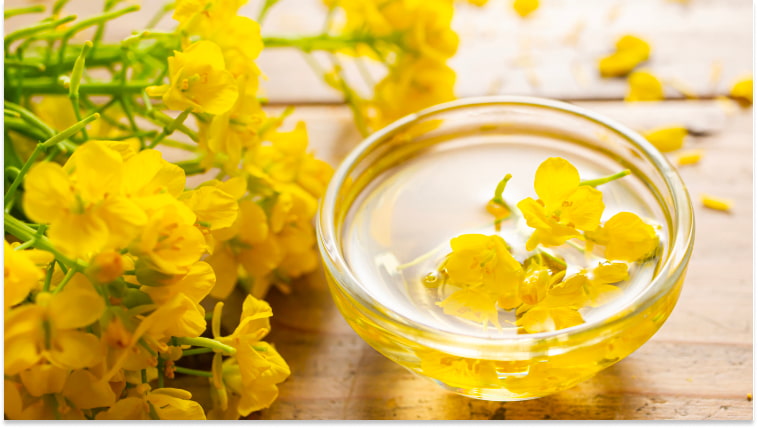 Benefits of Canola Oil for Hair