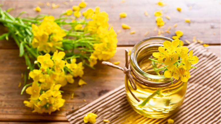 How to Use Canola Oil for Hair Growth