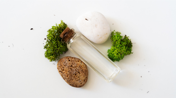How to Use Sea Moss on Your Hair