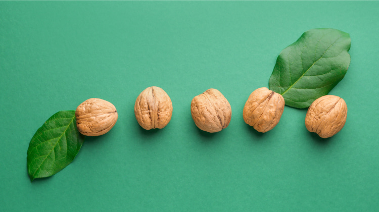Best Ways to Use Walnuts for Hair Growth